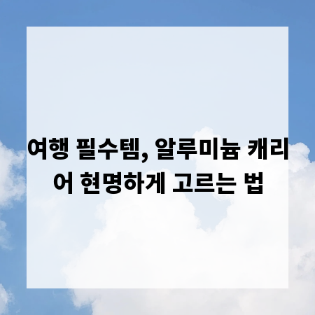 여행 필수템, 알루미늄 캐리어 현명하게 고르는 법