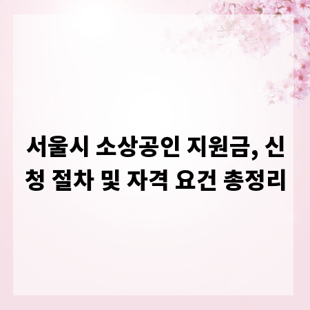 서울시 소상공인 지원금, 신청 절차 및 자격 요건 총정리