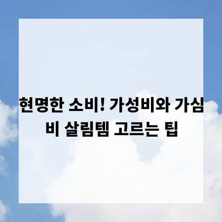현명한 소비! 가성비와 가심비 살림템 고르는 팁