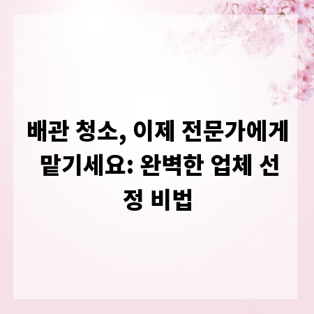 배관 청소, 이제 전문가에게 맡기세요: 완벽한 업체 선정 비법