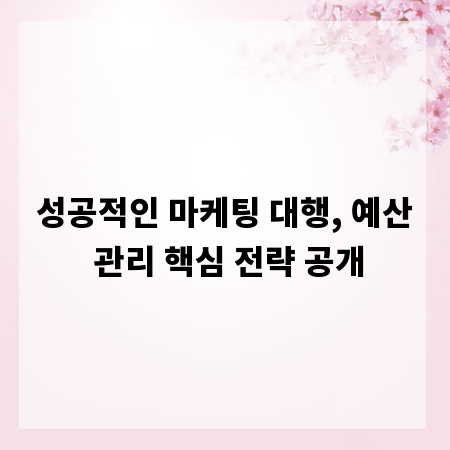 성공적인 마케팅 대행, 예산 관리 핵심 전략 공개