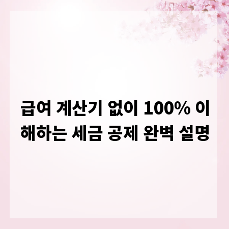 급여 계산기 없이 100% 이해하는 세금 공제 완벽 설명