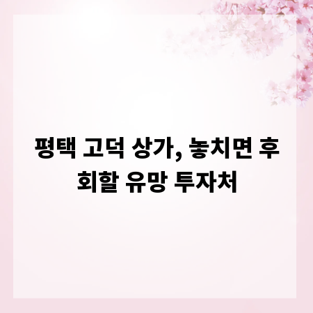 평택 고덕 상가, 놓치면 후회할 유망 투자처