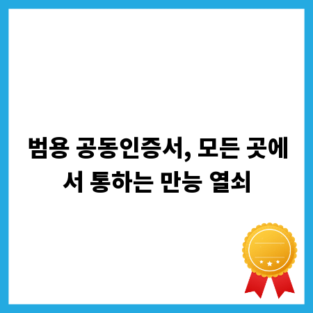 범용 공동인증서, 모든 곳에서 통하는 만능 열쇠