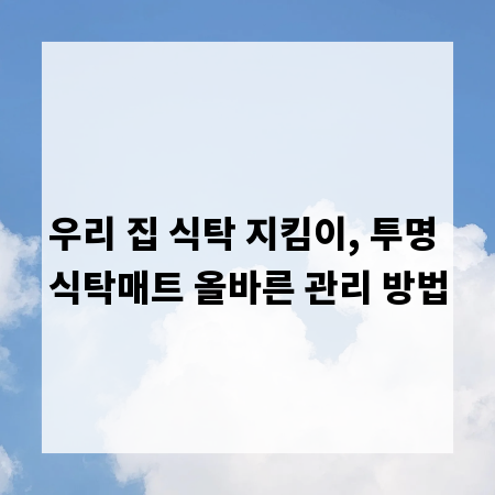 우리 집 식탁 지킴이, 투명 식탁매트 올바른 관리 방법
