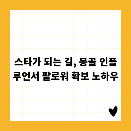 스타가 되는 길, 몽골 인플루언서 팔로워 확보 노하우