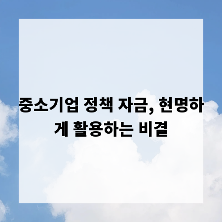 중소기업 정책 자금, 현명하게 활용하는 비결