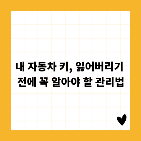 내 자동차 키, 잃어버리기 전에 꼭 알아야 할 관리법