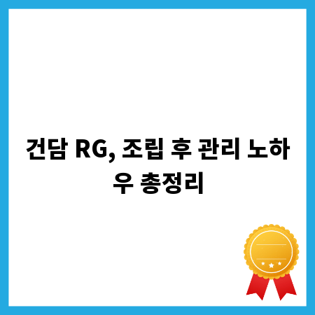 건담 RG, 조립 후 관리 노하우 총정리