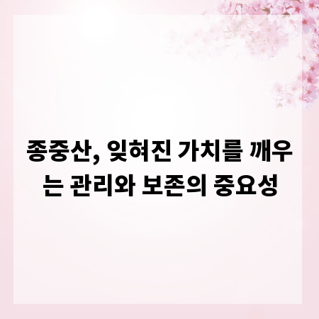종중산, 잊혀진 가치를 깨우는 관리와 보존의 중요성