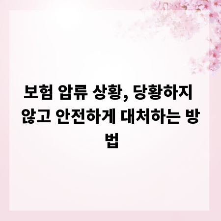 보험 압류 상황, 당황하지 않고 안전하게 대처하는 방법