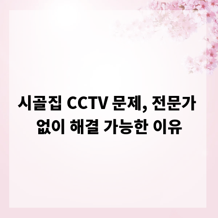 시골집 CCTV 문제, 전문가 없이 해결 가능한 이유