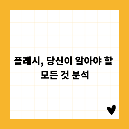 플래시, 당신이 알아야 할 모든 것 분석
