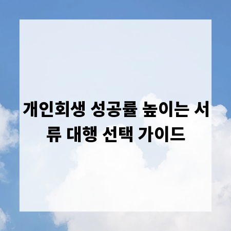 개인회생 성공률 높이는 서류 대행 선택 가이드