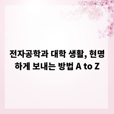 전자공학과 대학 생활, 현명하게 보내는 방법 A to Z