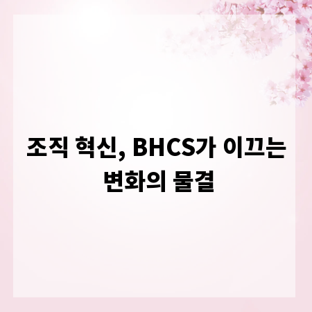 조직 혁신, BHCS가 이끄는 변화의 물결