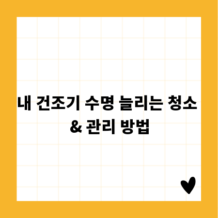 내 건조기 수명 늘리는 청소 & 관리 방법