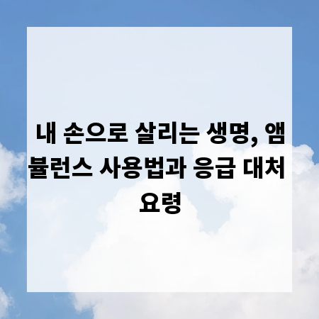 내 손으로 살리는 생명, 앰뷸런스 사용법과 응급 대처 요령