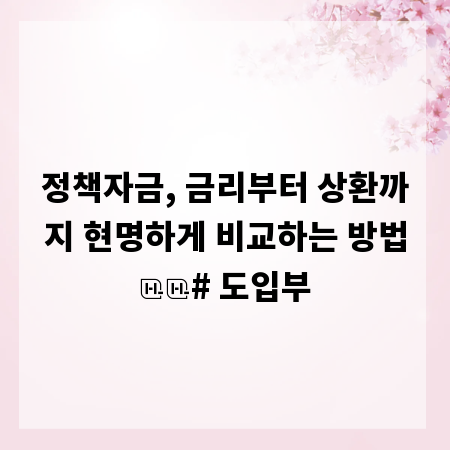 정책자금, 금리부터 상환까지 현명하게 비교하는 방법

# 도입부
