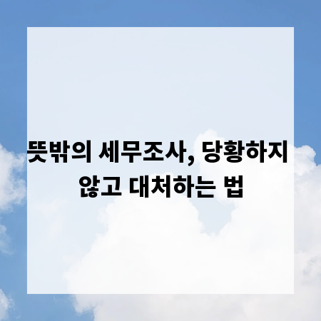 뜻밖의 세무조사, 당황하지 않고 대처하는 법