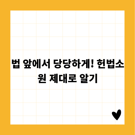 법 앞에서 당당하게! 헌법소원 제대로 알기