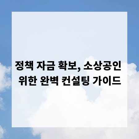 정책 자금 확보, 소상공인 위한 완벽 컨설팅 가이드