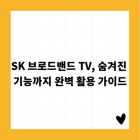 SK 브로드밴드 TV, 숨겨진 기능까지 완벽 활용 가이드