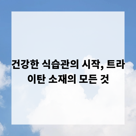 건강한 식습관의 시작, 트라이탄 소재의 모든 것