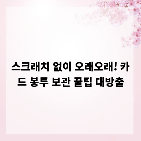 스크래치 없이 오래오래! 카드 봉투 보관 꿀팁 대방출