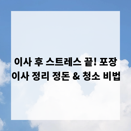 이사 후 스트레스 끝! 포장이사 정리 정돈 & 청소 비법