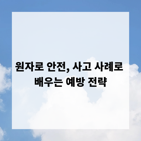 원자로 안전, 사고 사례로 배우는 예방 전략