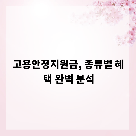 고용안정지원금, 종류별 혜택 완벽 분석