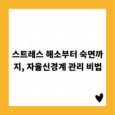 스트레스 해소부터 숙면까지, 자율신경계 관리 비법