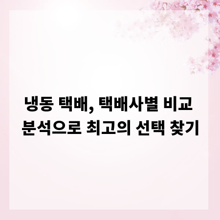 냉동 택배, 택배사별 비교 분석으로 최고의 선택 찾기