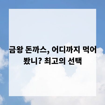 금왕 돈까스, 어디까지 먹어봤니? 최고의 선택