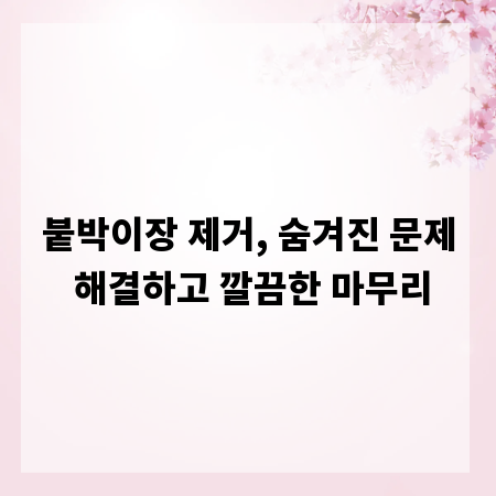 붙박이장 제거, 숨겨진 문제 해결하고 깔끔한 마무리