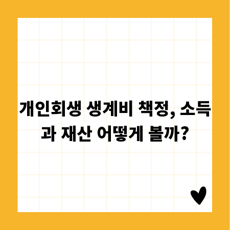 개인회생 생계비 책정, 소득과 재산 어떻게 볼까?