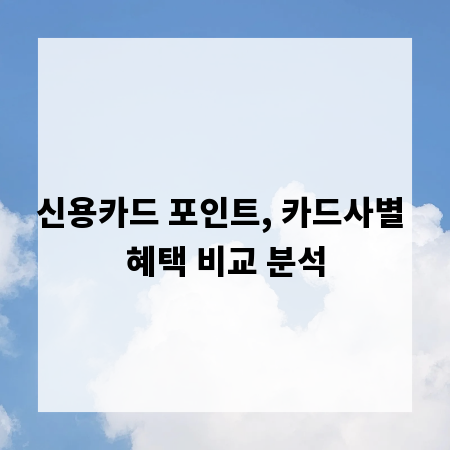 신용카드 포인트, 카드사별 혜택 비교 분석