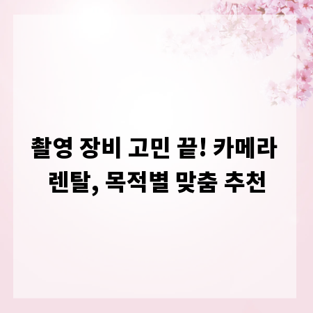촬영 장비 고민 끝! 카메라 렌탈, 목적별 맞춤 추천