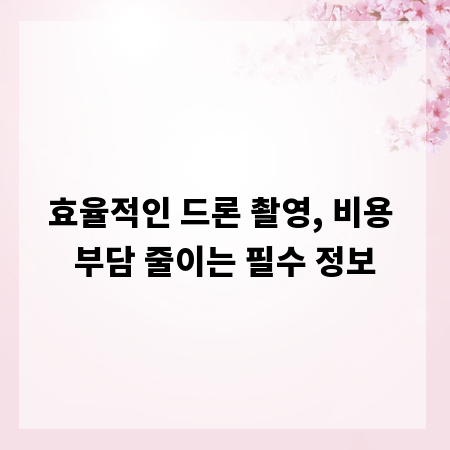 효율적인 드론 촬영, 비용 부담 줄이는 필수 정보