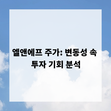 엘앤에프 주가: 변동성 속 투자 기회 분석