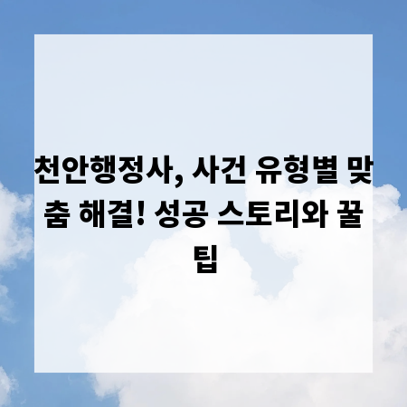 천안행정사, 사건 유형별 맞춤 해결! 성공 스토리와 꿀팁