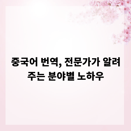 중국어 번역, 전문가가 알려주는 분야별 노하우