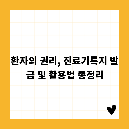 환자의 권리, 진료기록지 발급 및 활용법 총정리