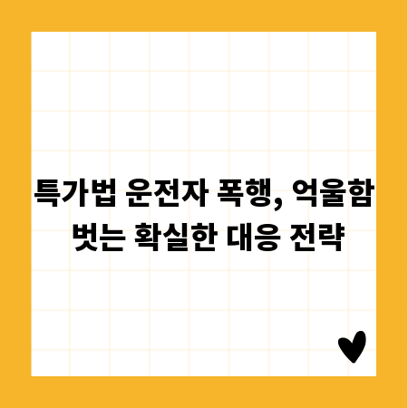 특가법 운전자 폭행, 억울함 벗는 확실한 대응 전략