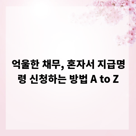 억울한 채무, 혼자서 지급명령 신청하는 방법 A to Z