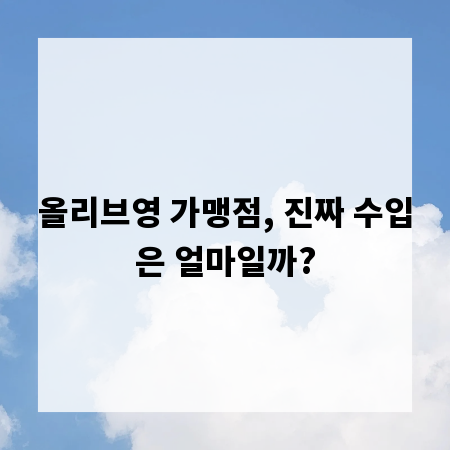 올리브영 가맹점, 진짜 수입은 얼마일까?