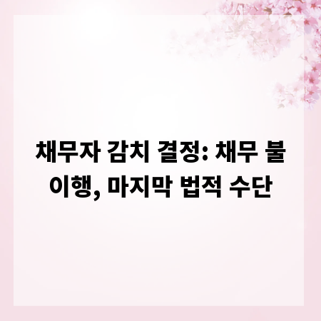 채무자 감치 결정: 채무 불이행, 마지막 법적 수단