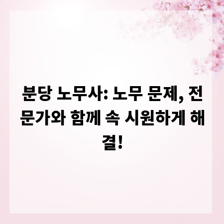 분당 노무사: 노무 문제, 전문가와 함께 속 시원하게 해결!