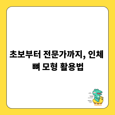 초보부터 전문가까지, 인체 뼈 모형 활용법